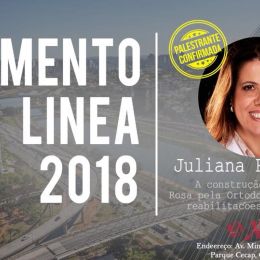 8 - Momento Linea